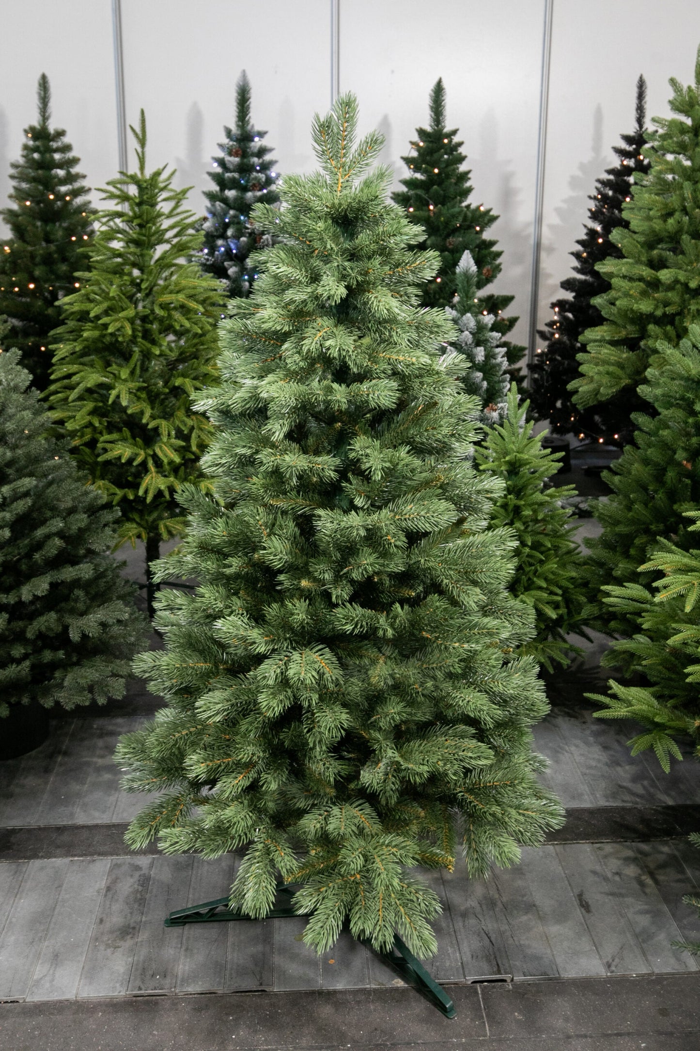 150 cm Kalėdų eglutė Sosna Himalajska Exclusive