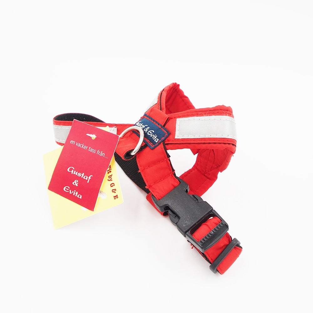24/32 CM. Gustaf & Evita petnešos GE110305