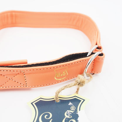 50 CM. antkaklis „Gustaf & Evita“ GE231350