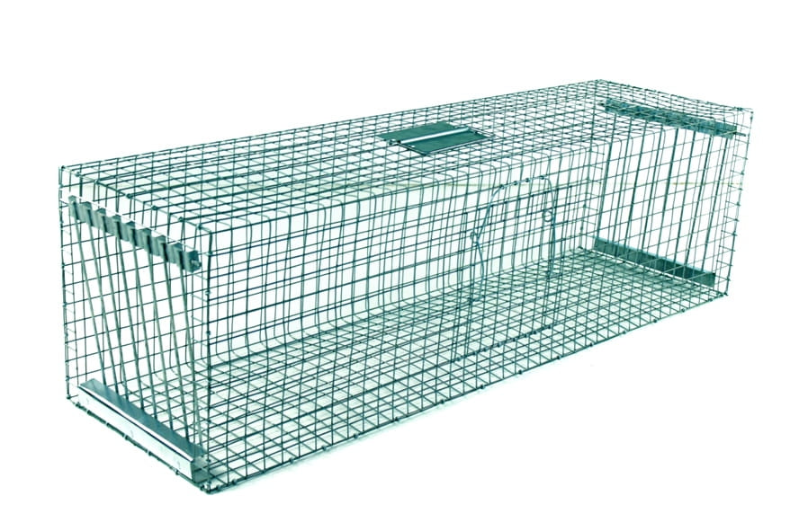Gaudyklė paukščiams 102x30x30 cm