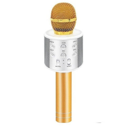Išmanusis karaoke mikrofonas