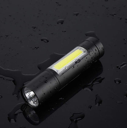 LED prožektorius, 2 LED