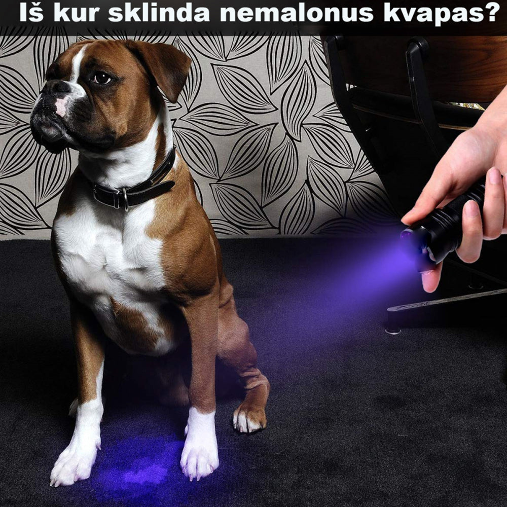 UV Spindulių Prožektorius